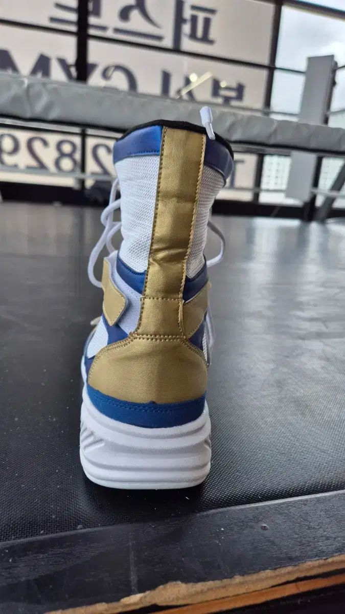 アダムスボクシングシューズ AdamsアダムスVトレーナー3.0 ボクシング