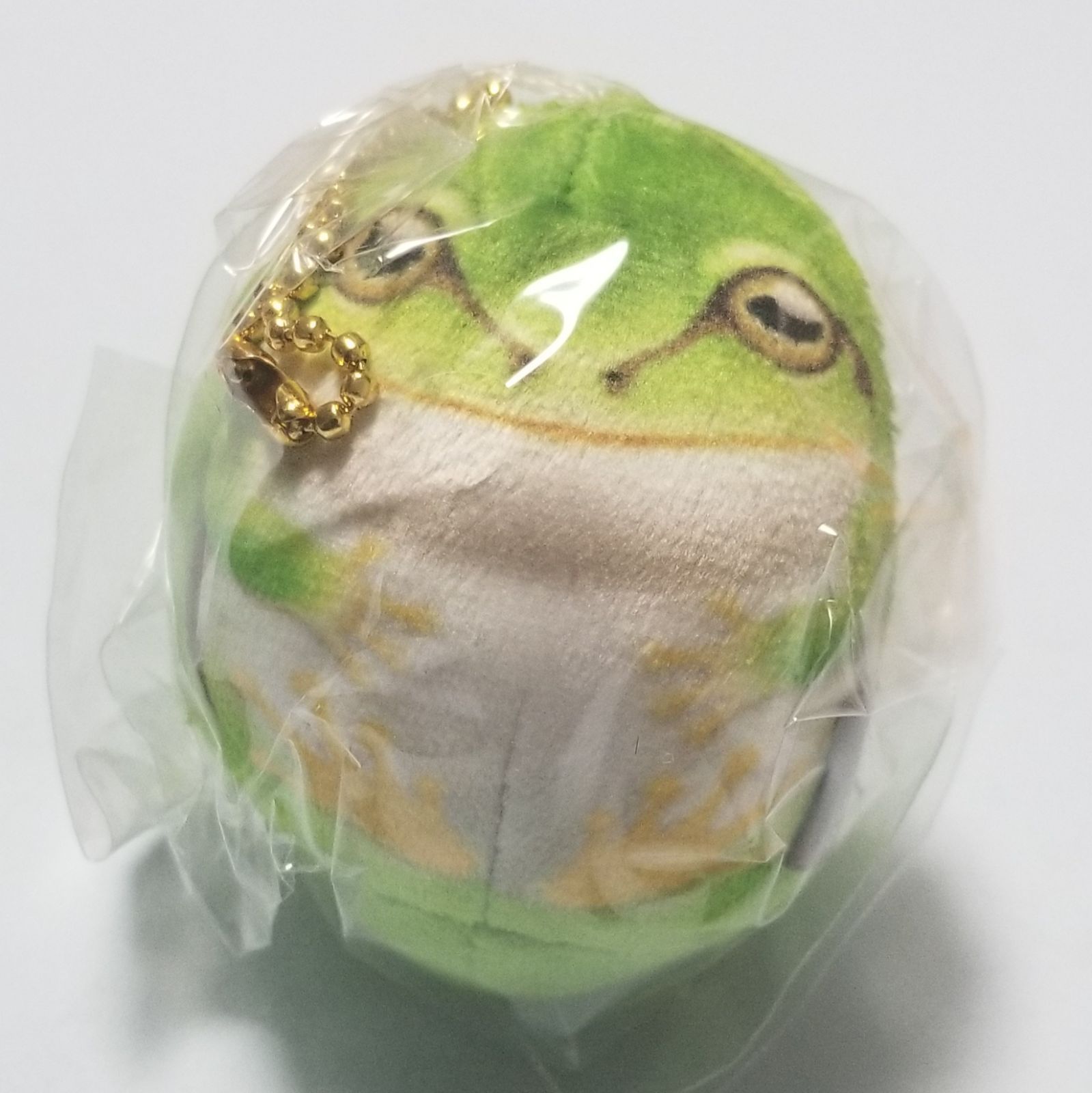 MOCHIXモチモチカエル 全5種 - メルカリ