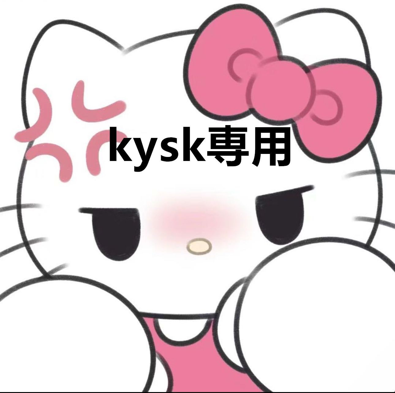 kysk専用