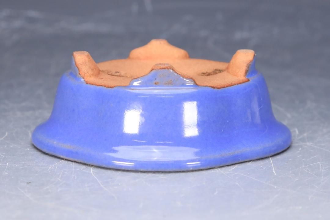 石井盆栽 渡辺壱興作