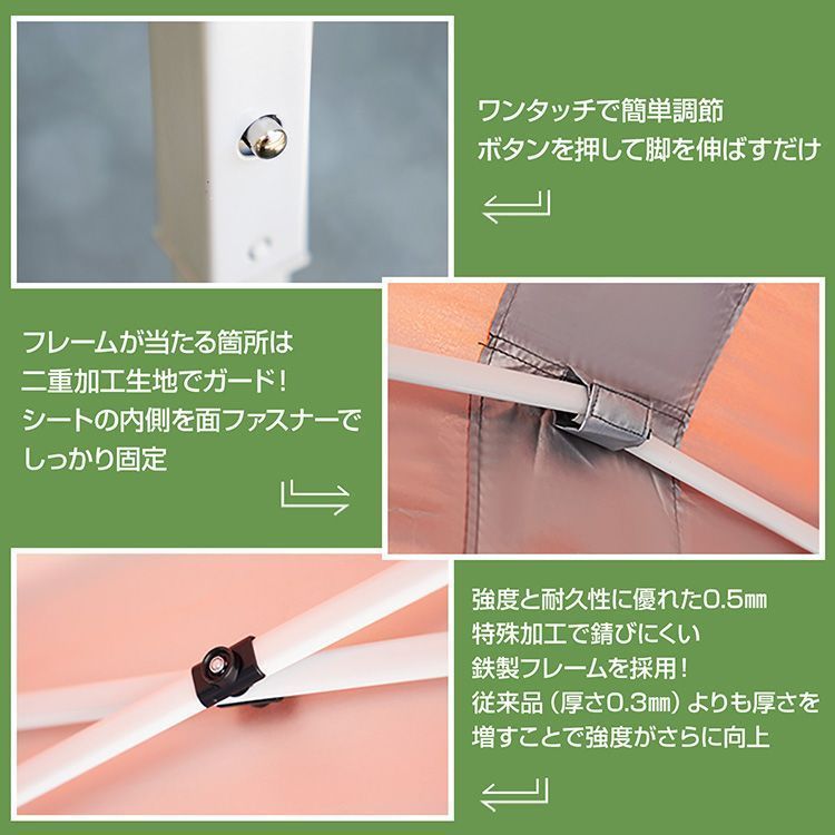 タープ 設営