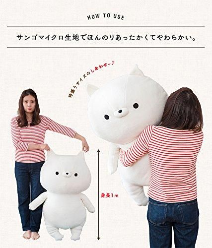 小泉ライフテックス