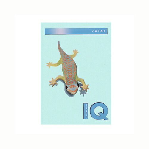 （まとめ） コピー用紙（カラー用紙） 伊東屋 バイオトップカラー Ｍブルー BT708 9003974406893  1冊【×5セット】