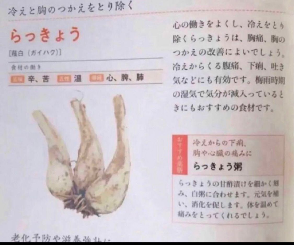 ♪♪ 腸活に お試しセット 岐阜産 家庭菜園の無消毒 化学肥料 除草剤 不使用 花らっきょう 種用 食用 藠头苗 30本 1188円 肥料対応 直送対応