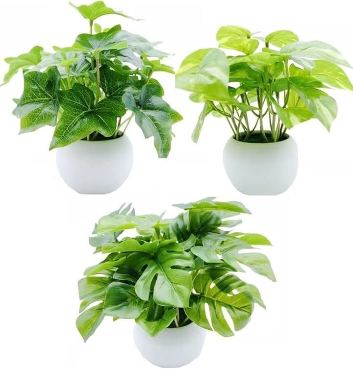 MedianField 【 観葉植物 光触媒 消臭 ＆ 抗菌 ウォールグリーン 】 フェイクグリーン 壁掛け 50cm×40cm フック付き 造花 フェイク おしゃれ 人工観葉植物 エアープランツ 室内 大型 フレーム イン 光触媒 観葉植物 MedianField セ 抗菌消臭 横長