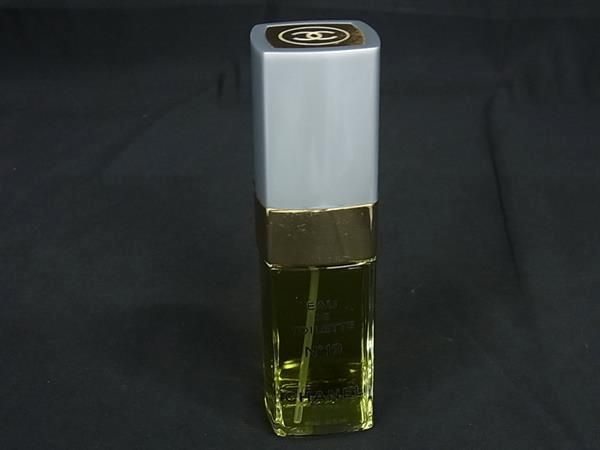 CHANEL シャネル N19 オードトワレ 100ml 香水 フレグランス パフューム DF6713