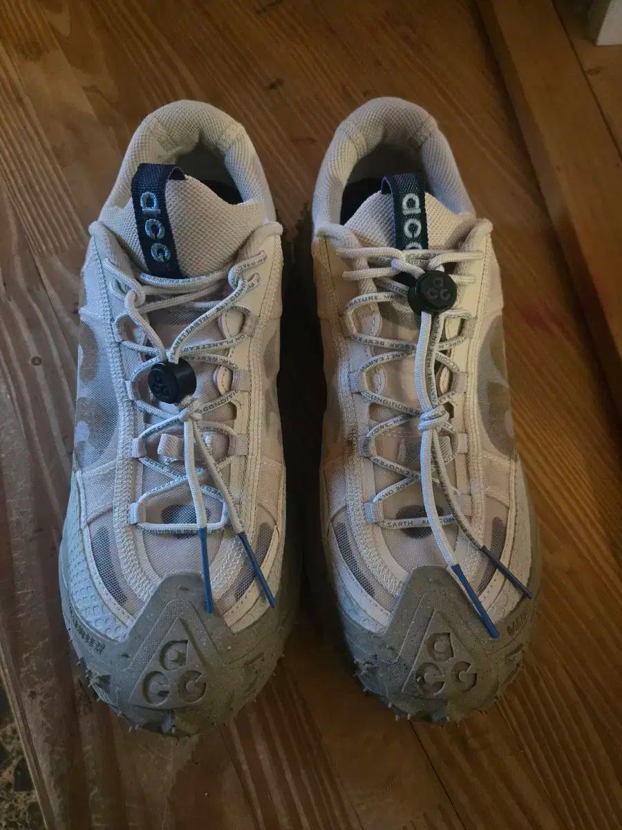 ACG マウンテン
