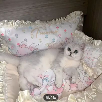 手作り猫用ソファベッド 防水