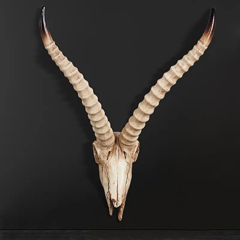 動物の頭 ロングホーン 羊 牛 壁掛け装飾 フェイク 頭蓋骨