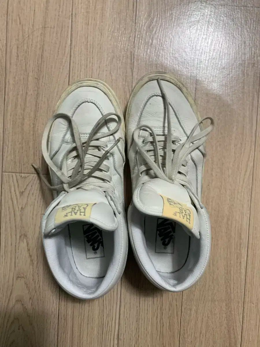 ハーフキャブ VANS(バンズ) 260