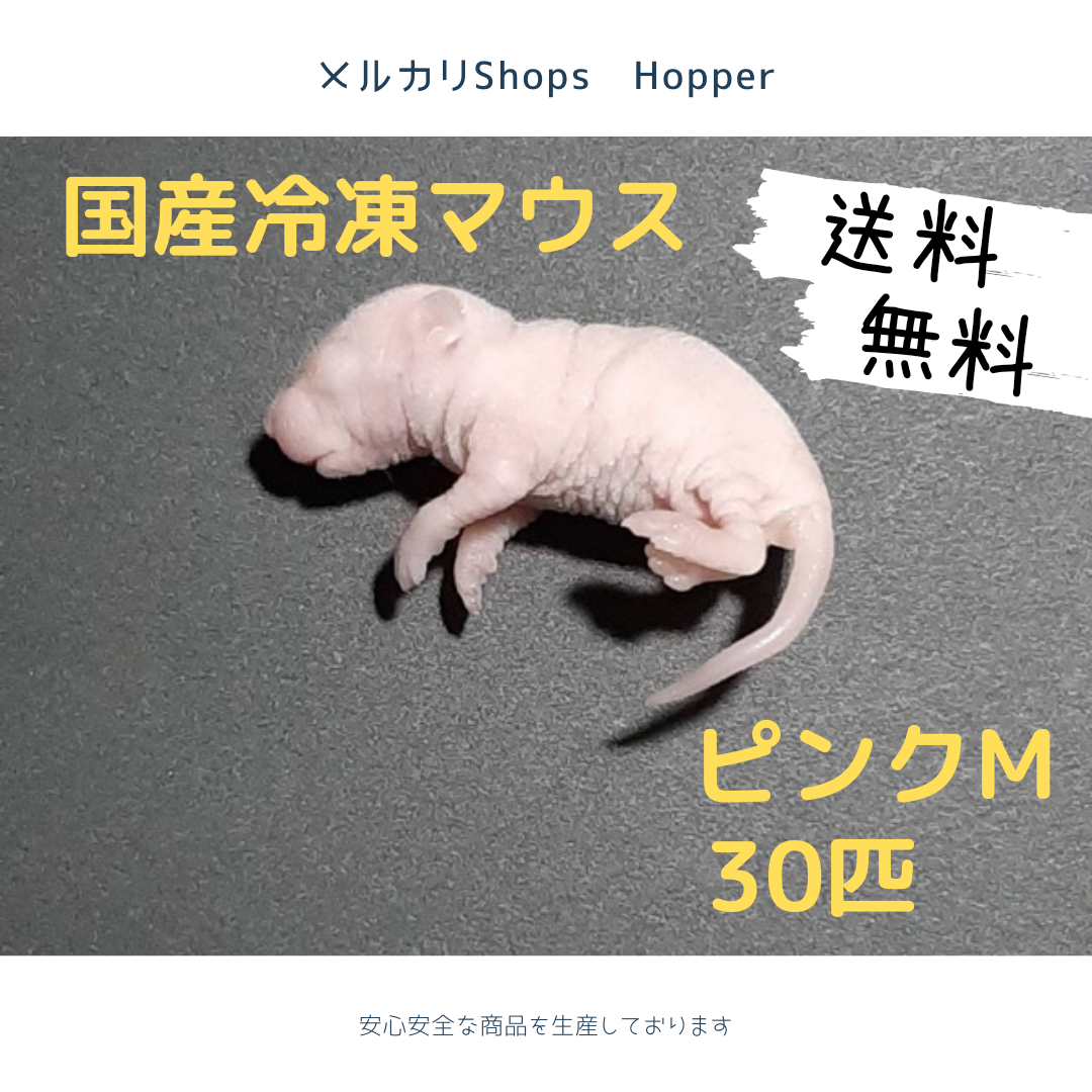 経典 新品、未使用 国産 冷凍マウス ピンクM 30匹 ペットフード - www