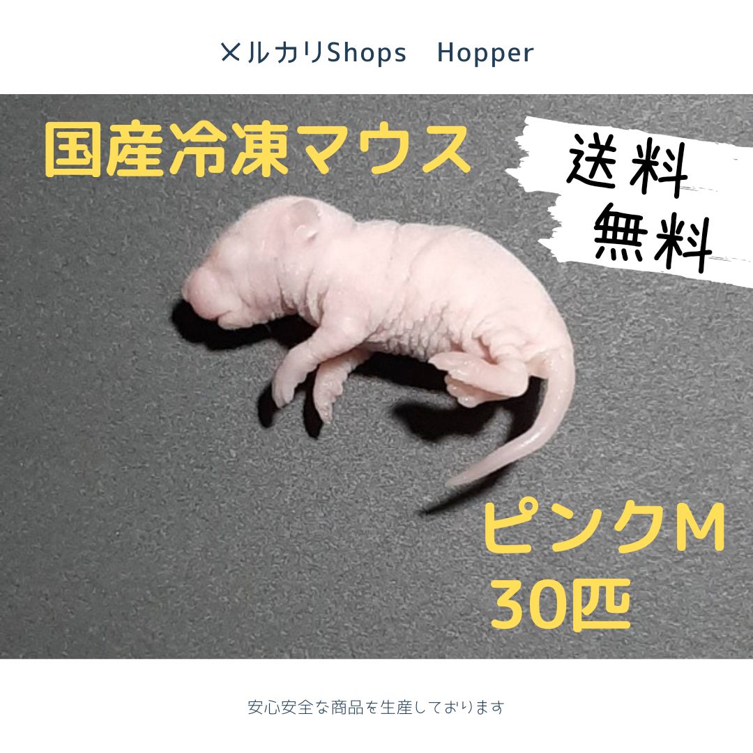 ★湊・即購入OK★ 国産冷凍マウス ホッパー 30匹　ピンクM30匹 ☆湊・即購入OK☆ 国産冷凍マウス ホッパー 30匹 ピンクM30匹