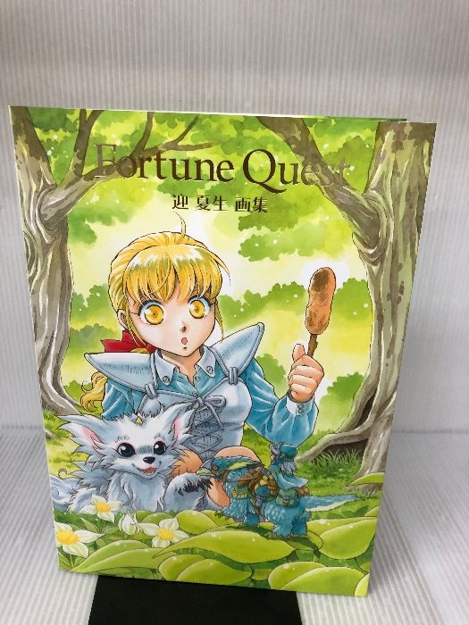 FORTUNE QUEST 迎 夏生画集 KADOKAWA