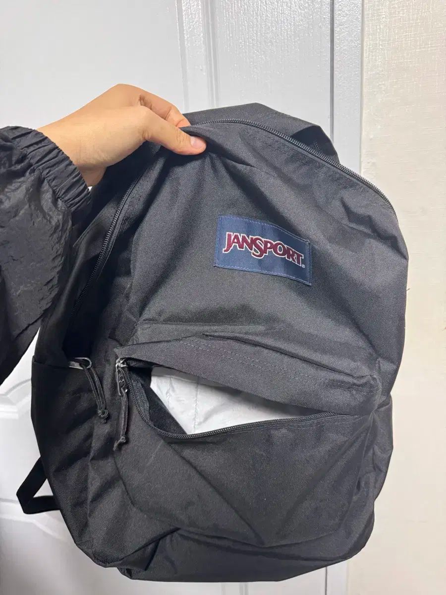 パキポディウム グラキリス 現地株 市野伝市鉢 美フォルム