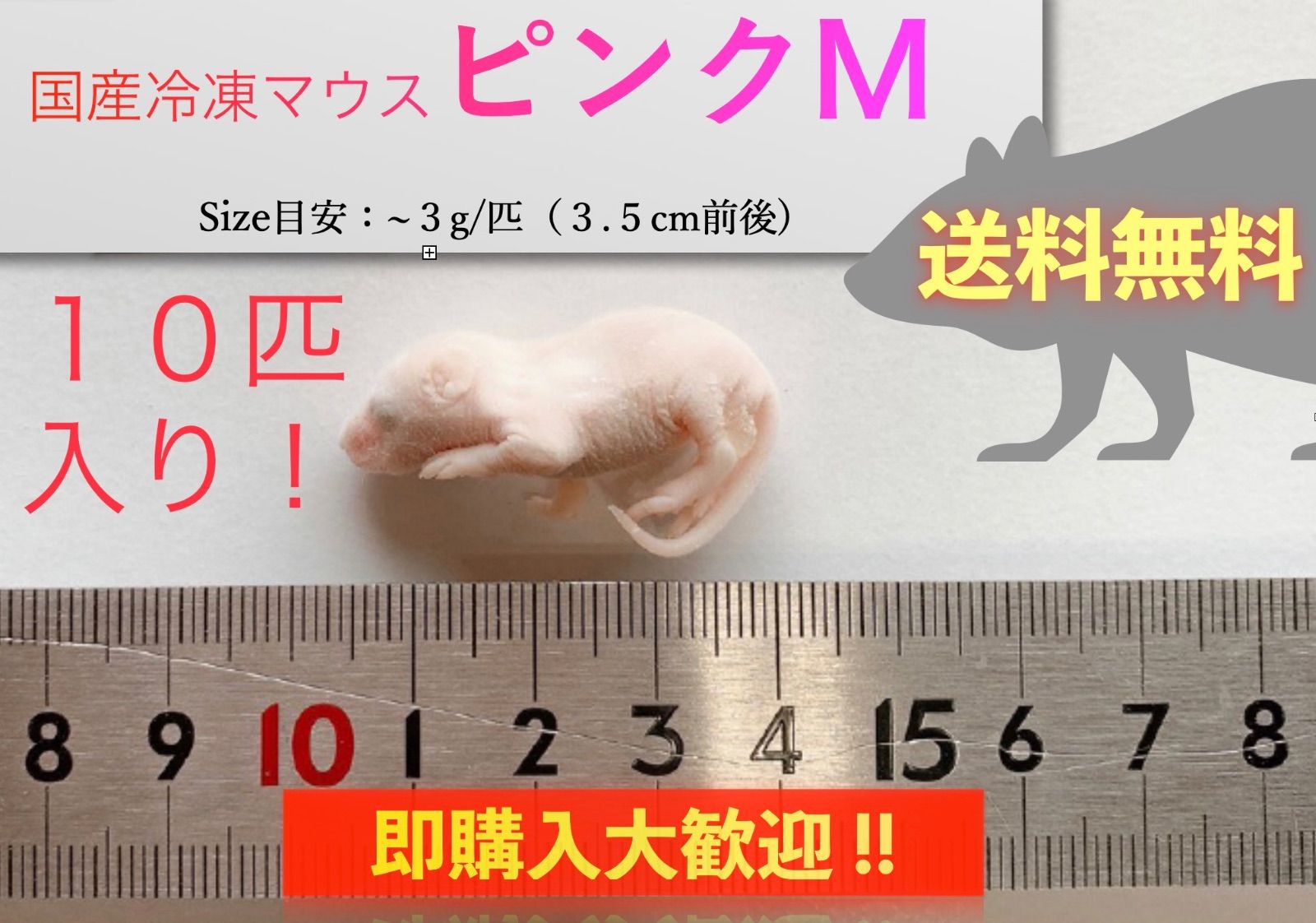 送料無料】国産冷凍ピンクマウスM 10匹入@即購入OK！北海道・沖縄の方