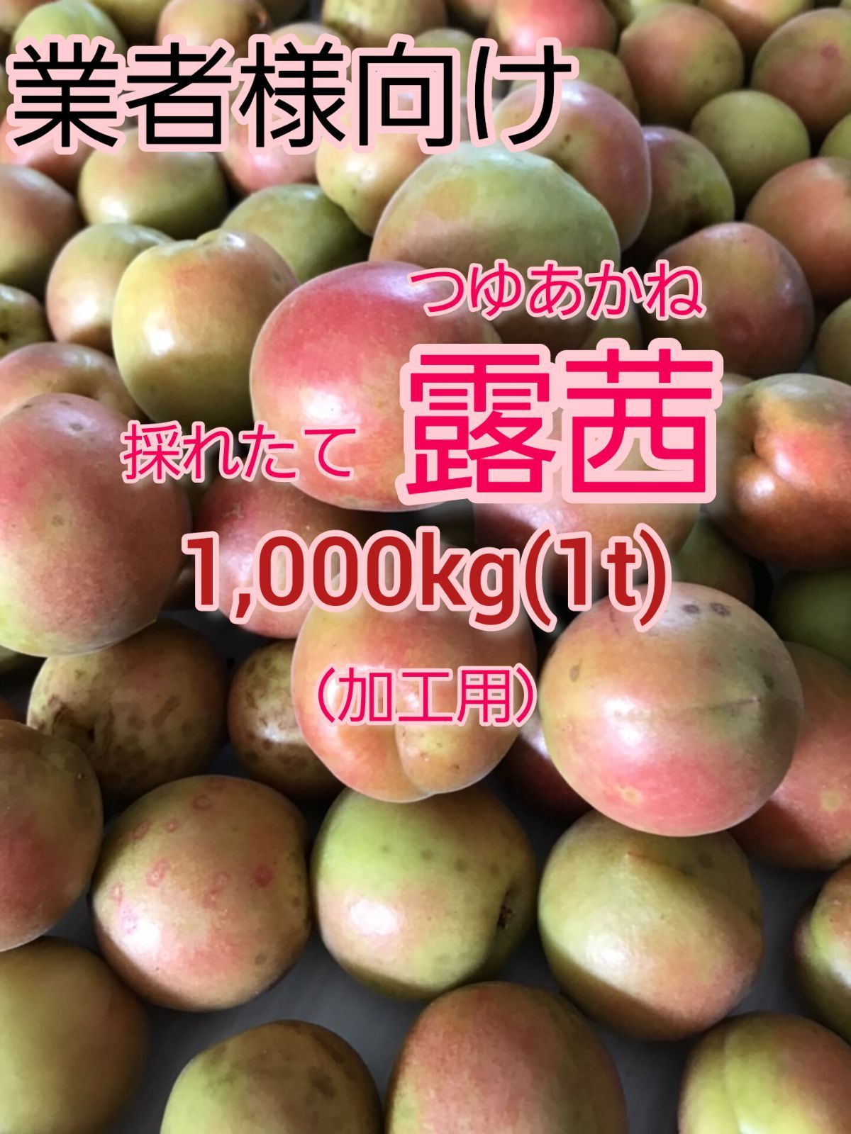 採れたて露茜(つゆあかね)【業者様向け】1,000kg(1t)