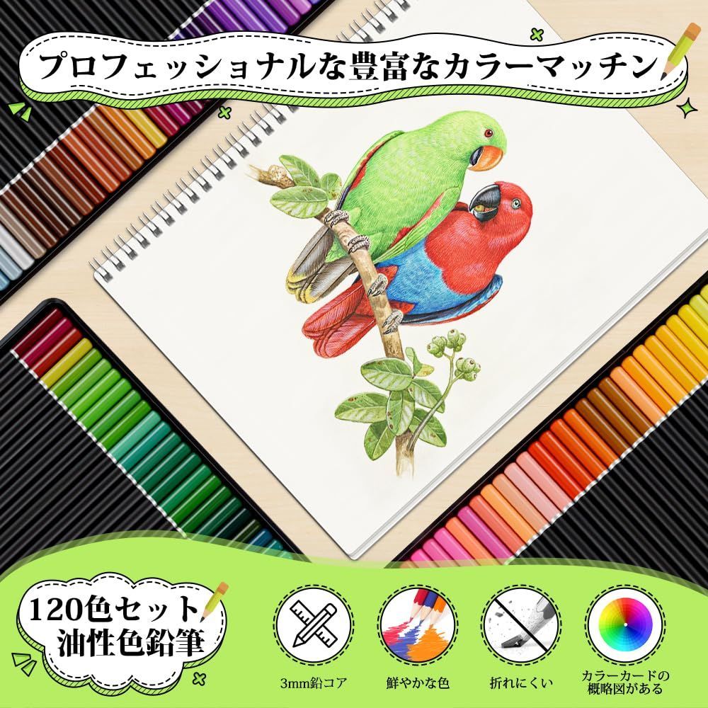 人気商品】大人の塗り絵 スケッチ 高級色鉛筆 イラスト 高純度 ソフト