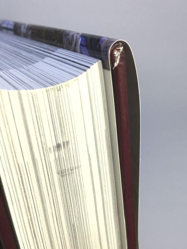 美しい荘厳な芸術 ヨーロッパの大聖堂