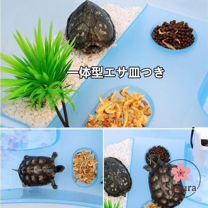 かめさん専用 新品?未使用】亀 水槽 カメ 飼育ケース 大きい 脱出防止