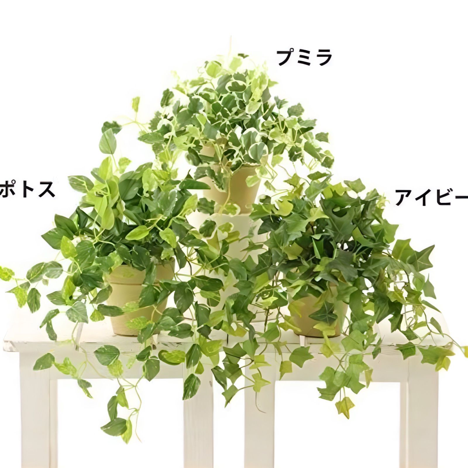 光触媒 人工観葉植物 ウォールグリーン フェイクグリーン アイビー ポトス プミラ3点セット123 メルカリ