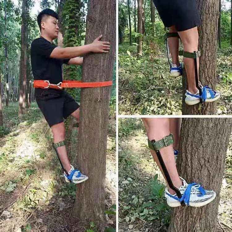 【本物保障】 木登り道具木登り靴保護ベルト木登り業用安全帯果物選ぶ狩登山用庭木観察落下防止電気工事使いやすい木登り器耐荷重 100kg 時間のかからない