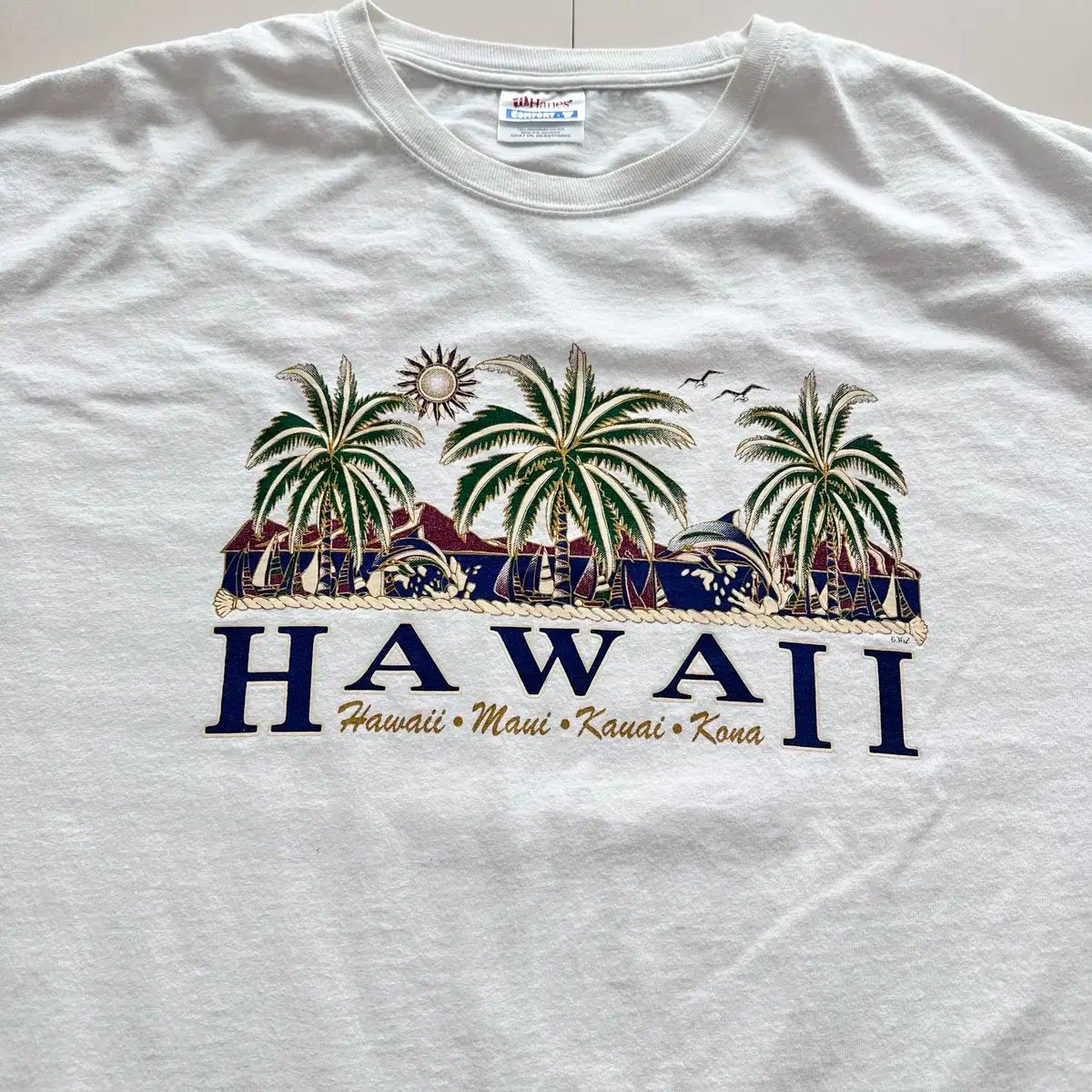 90 ザ・イヤーズ HANES(ヘインズ) ハワイ ヴィンテージ Tシャツ