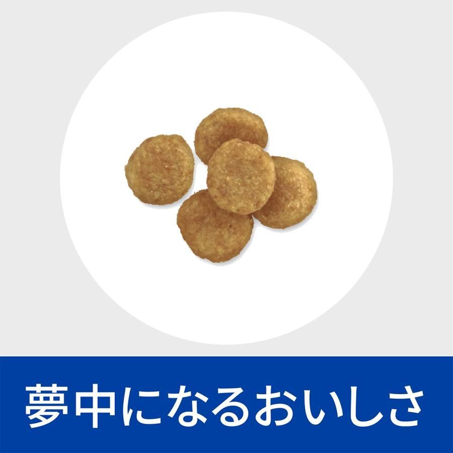 犬用 下部尿路