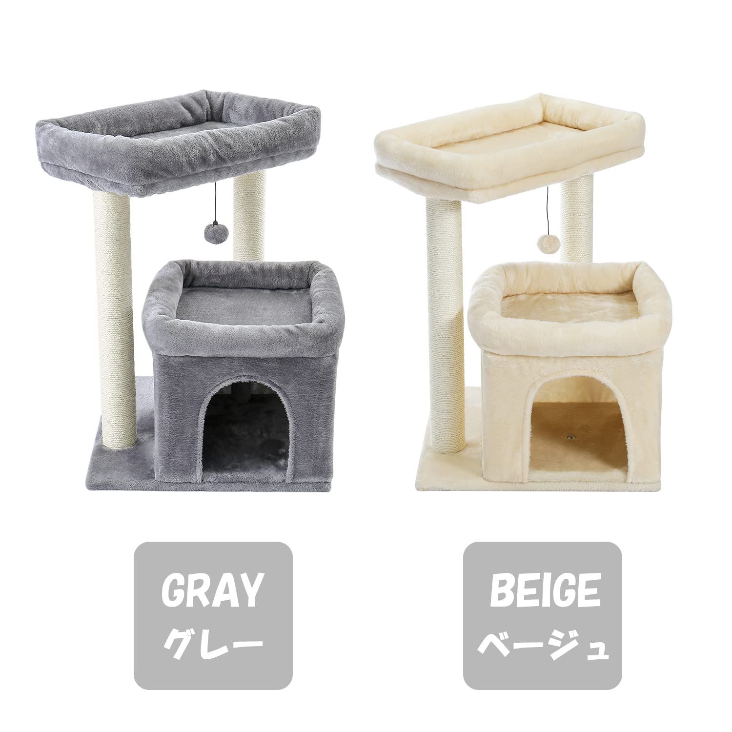 シニア猫