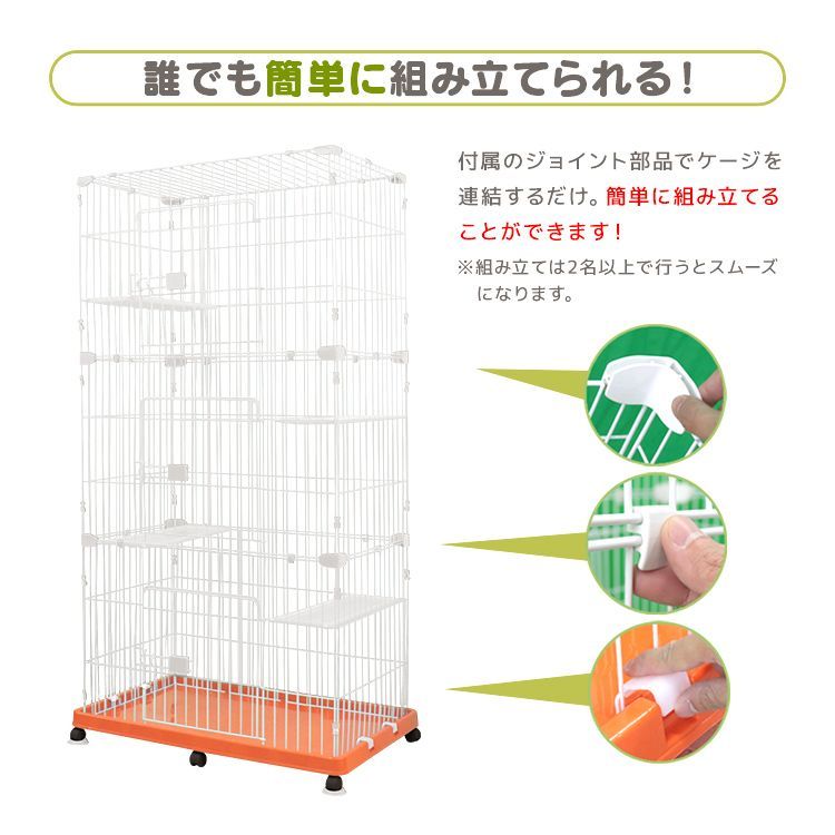 ハウス 猫