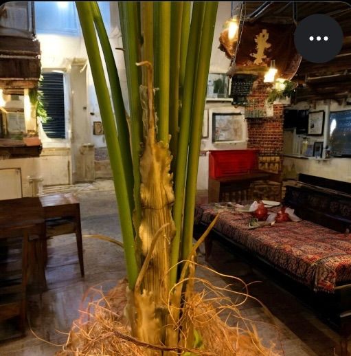 光触媒 人工観葉植物 ウォールグリーン フェイクグリーン