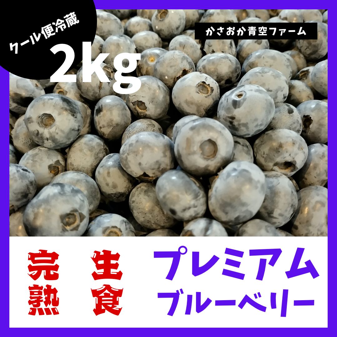 産直・クール便】完熟生ブルーベリー2kg 岡山県産 - メルカリ