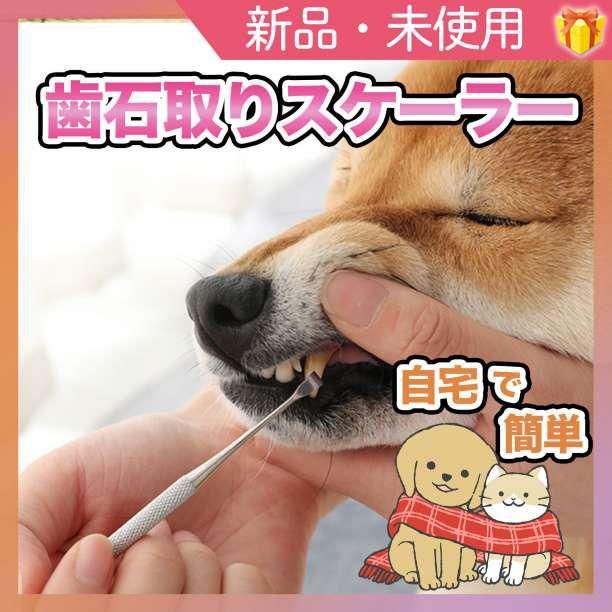 漫画 ジェネラリストのための犬と猫の歯科診療 スケーリング