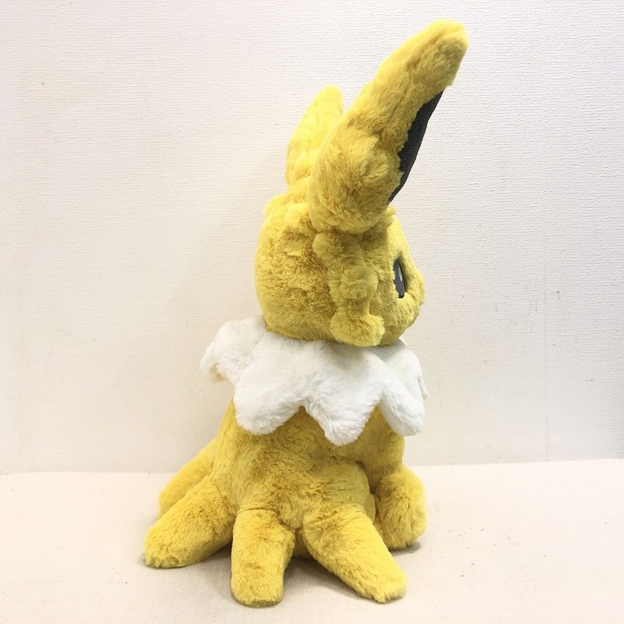 Pokemon Center ポケモンセンターオリジナル ふわふわ抱き