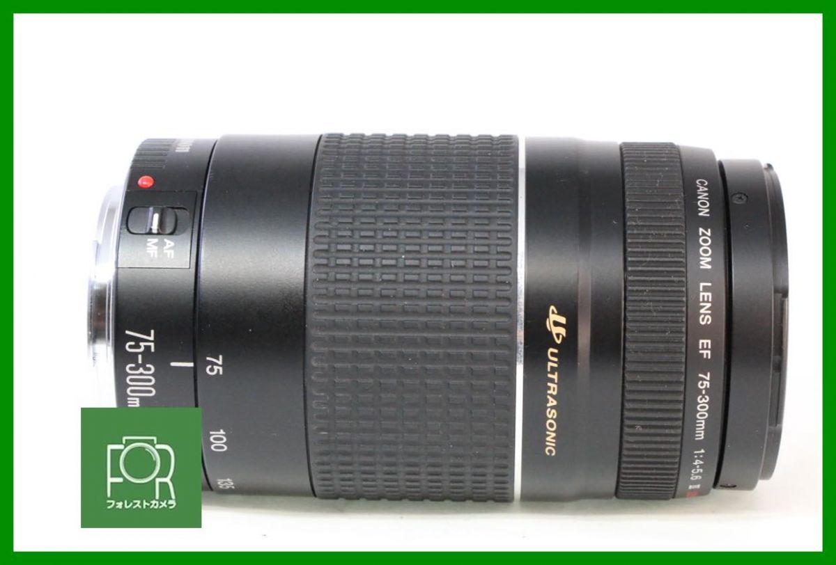 点検済 CANON