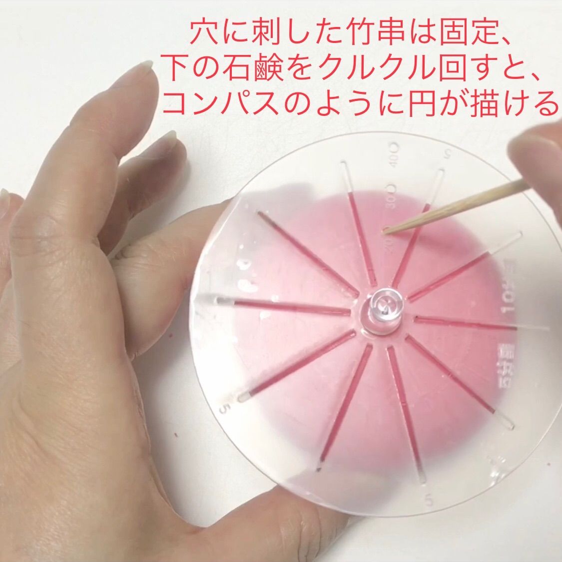等分・分割スケール／ソープカービングやフルーツカービングに便利