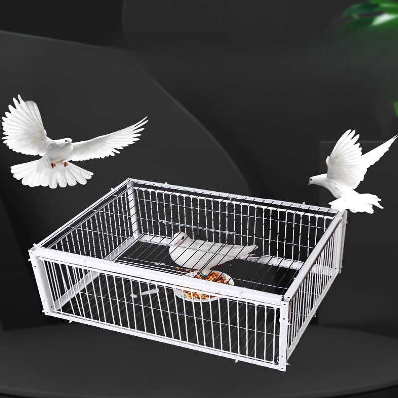 1個のステンレス製鳩小屋 自動閉鎖ドア付き - 安全な飼育のための耐久性のある屋外バードキャリア