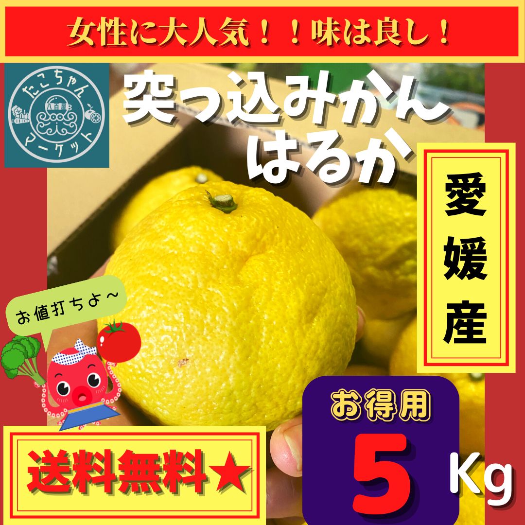 はるか 2Lサイズ 箱込み 8kg キズ多め 化粧箱入 平干し バラ詰め 2kg