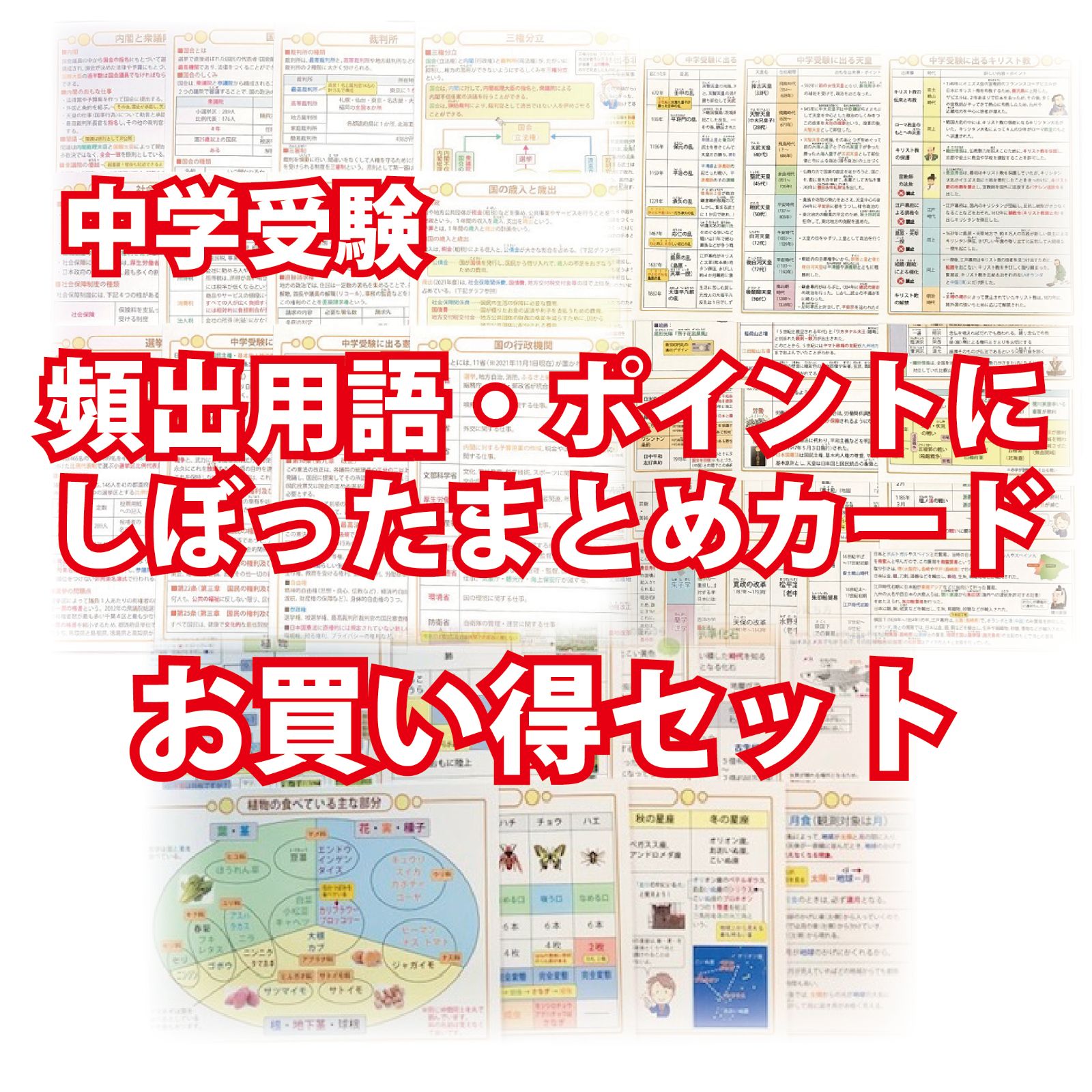 お買い得セット「中学受験・頻出用語・ポイントにしぼったまとめカード 