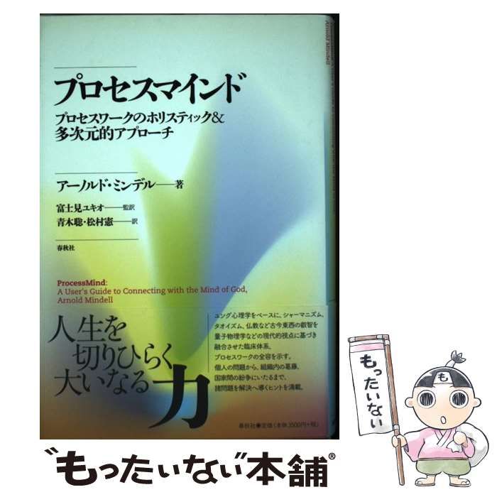 プロセスマインド プロセスワークのホリスティック&多次元的アプローチ