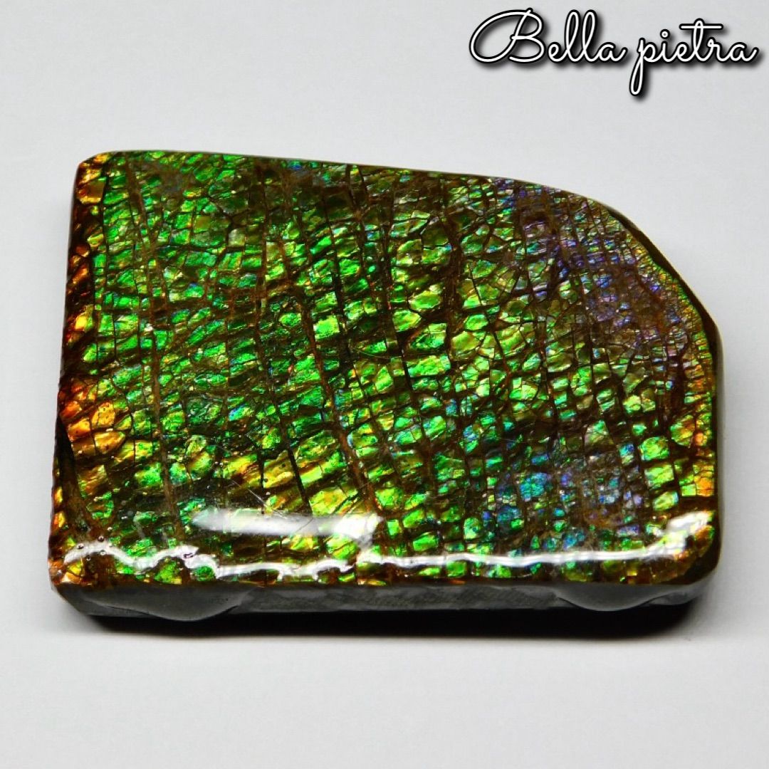 美遊色！高品質☆希少☆カナダ産アンモライト ピース ドラゴンスキン