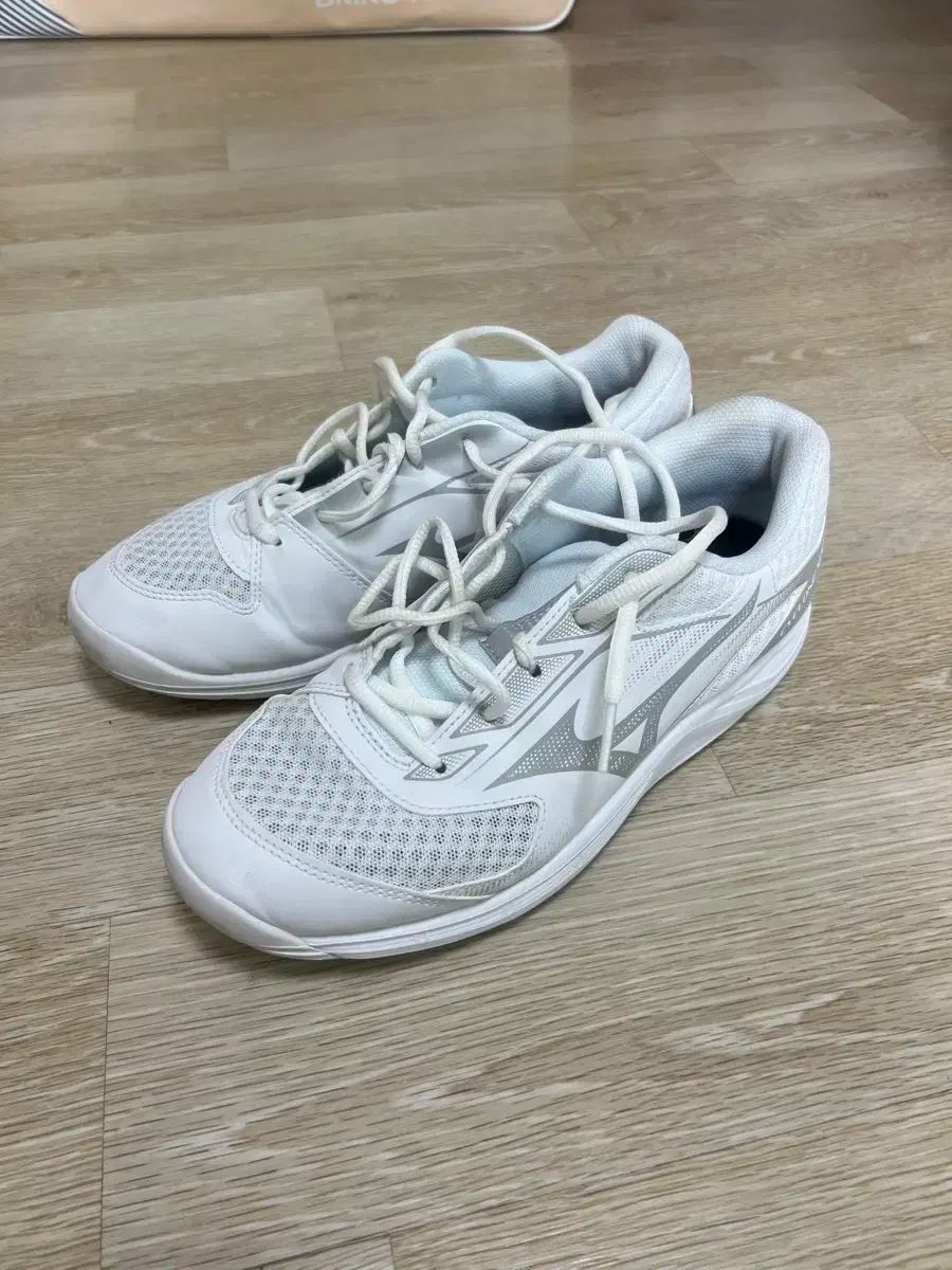 Mizuno ミズノ バレーボールシューズ バドミントンシューズ 260