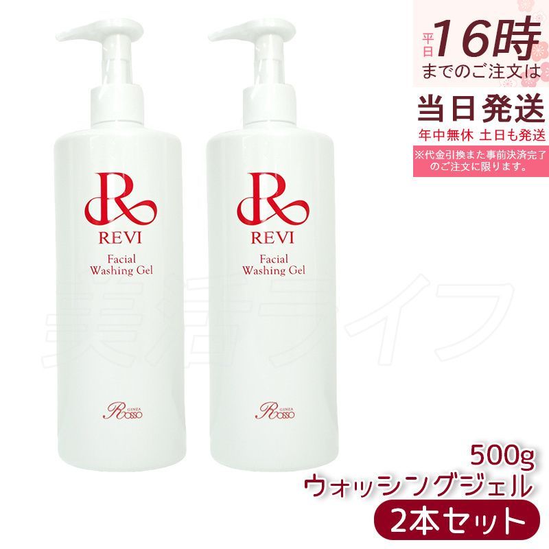 2個セット】 ルヴィ ウォッシングジェル 500g 洗顔料 業務用 基礎