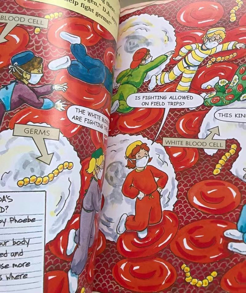 英語絵本The Magic School Bus Science 20冊+dab