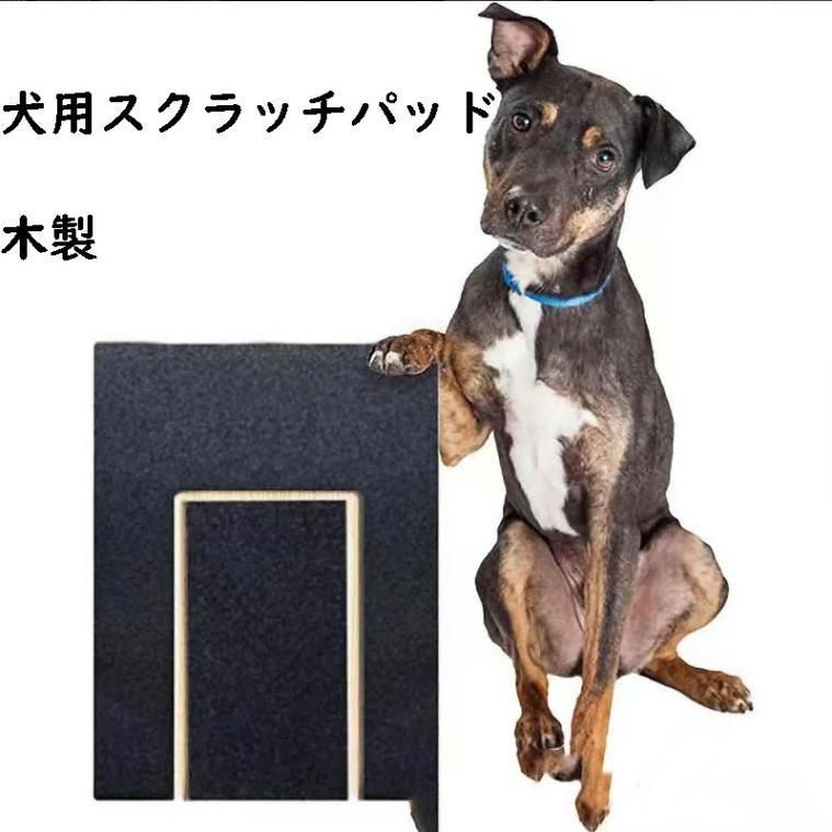 世界300枚限定 イーグル 銀貨 カラー + アンティーク仕上げ 稲妻の騎士