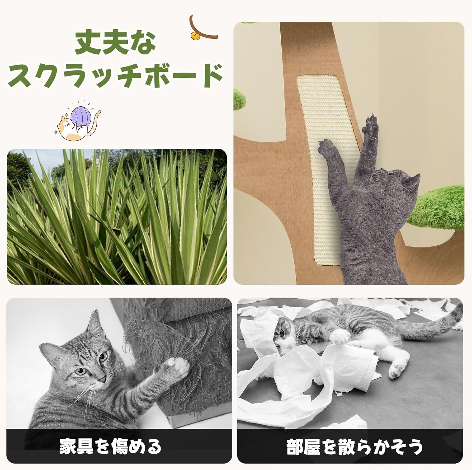 大型猫