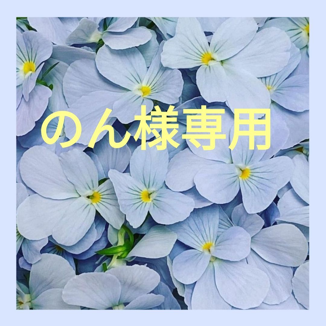 のんさま専用 のん様 専用出品