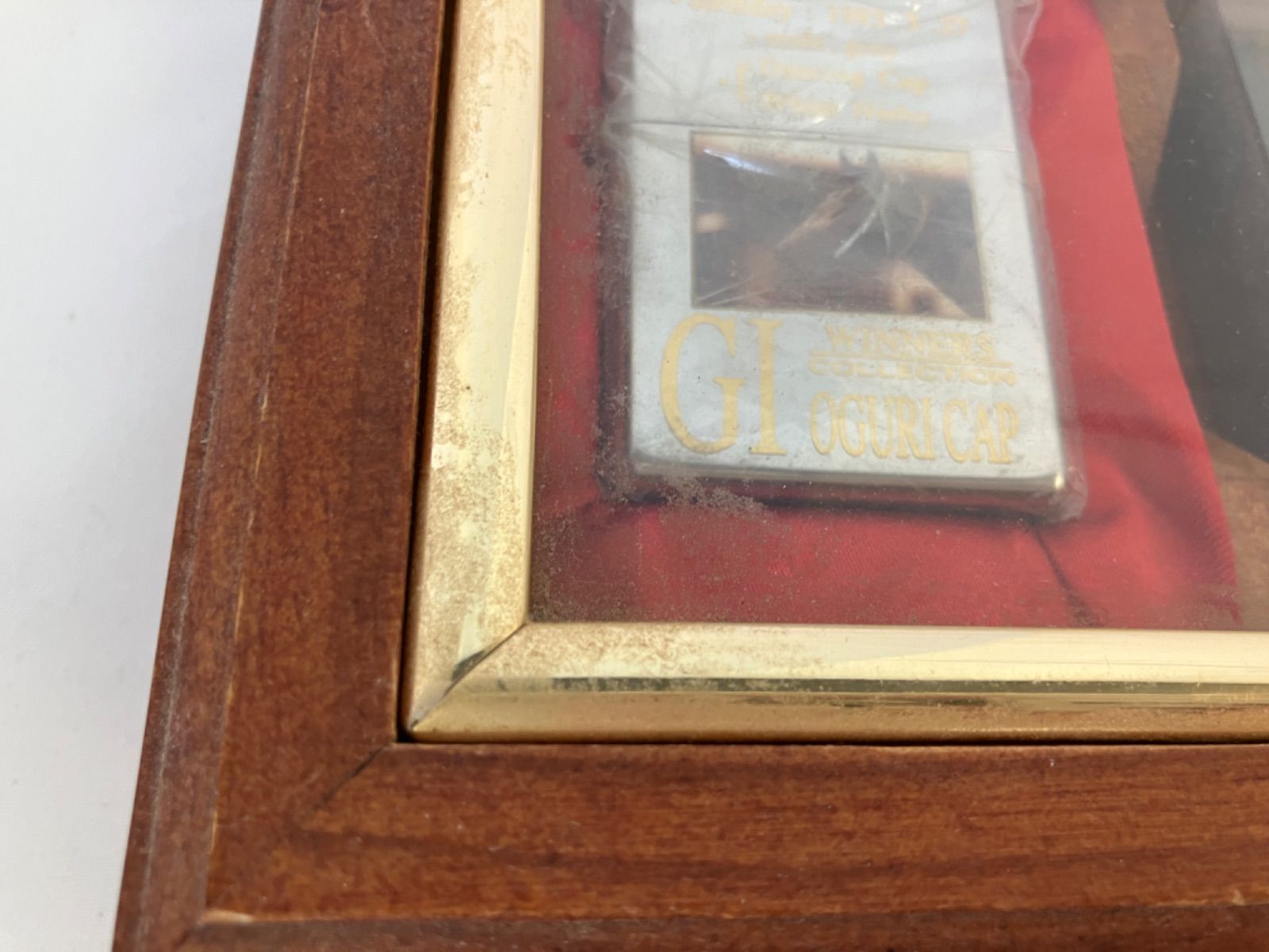 入手困難！激レア】ポーランド