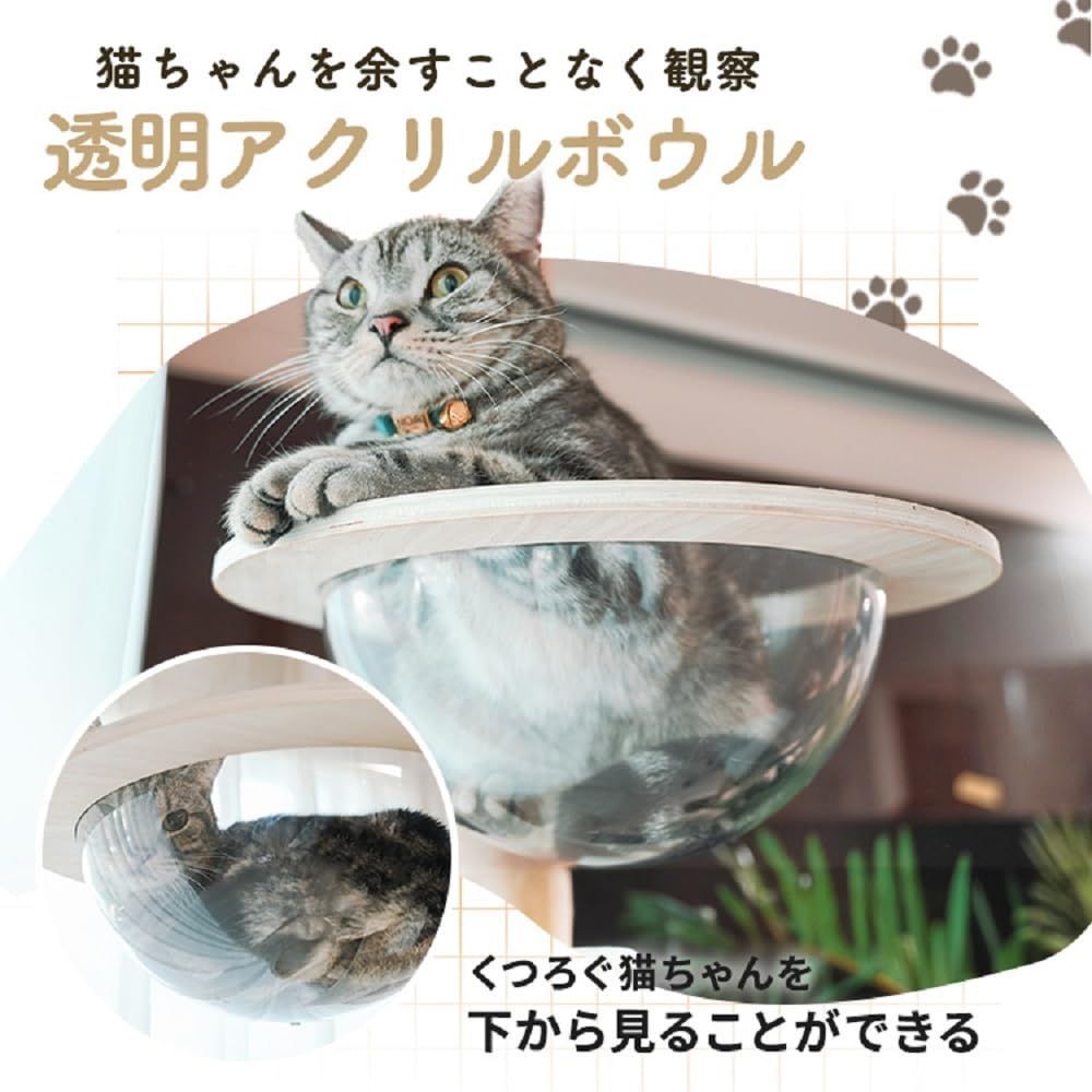 数量