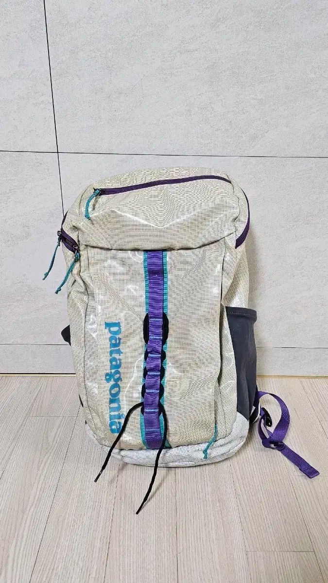 patagonia パタゴニア バックパック