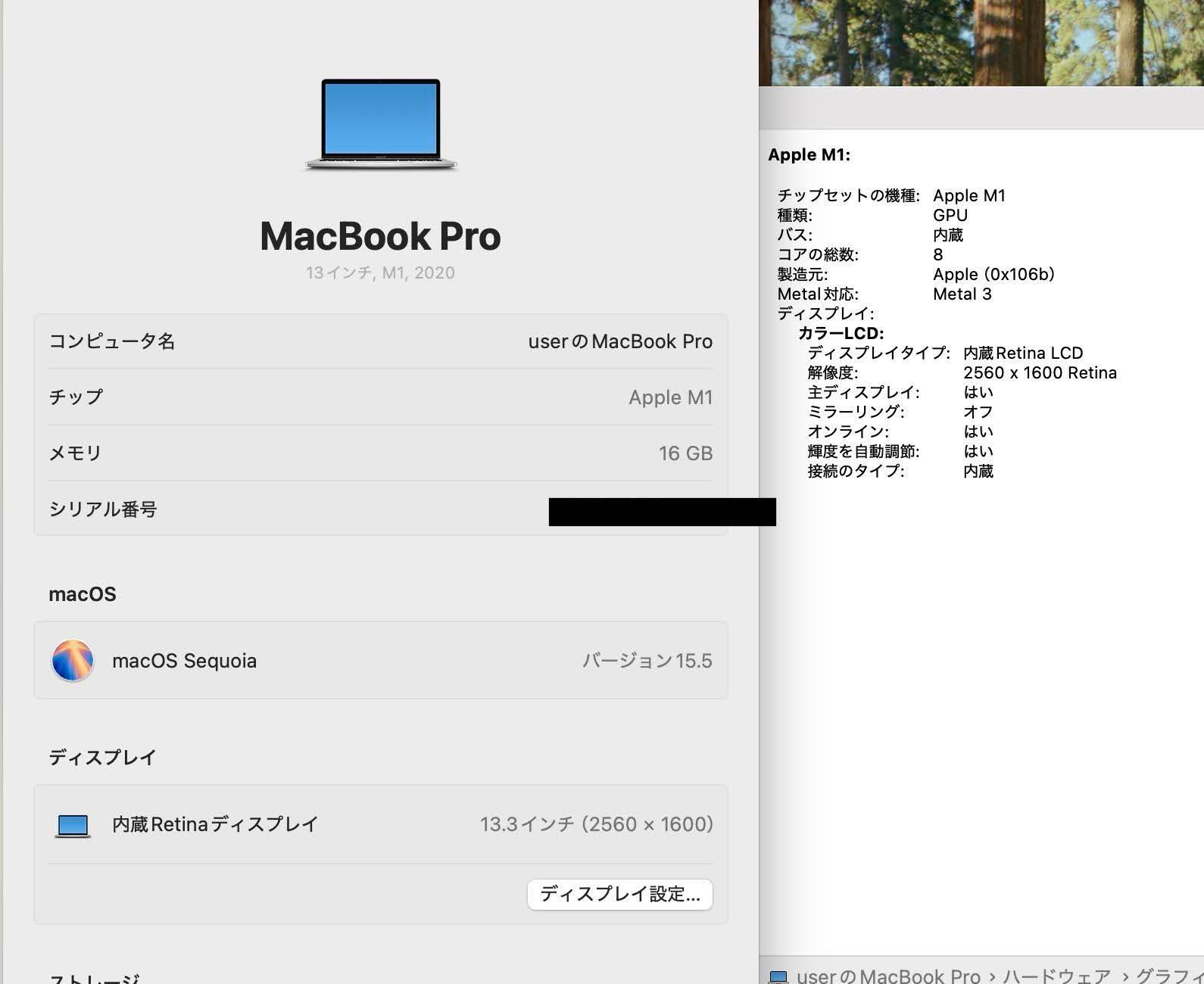 バッテリー最大容量95％美品MacBook Pro M1 2020 16GB 51-l2Qe-nbS._UF894,1000_QL80_.jpg